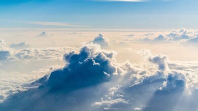 Cloud ERP Platform: Revolutionizing Business Operations With Efficiency